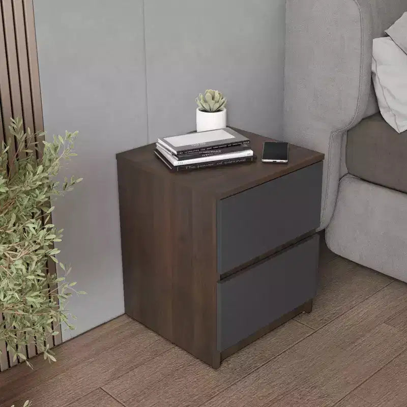 Homez 15.74 in. Rectangle Wood End Table with 2 Drawers