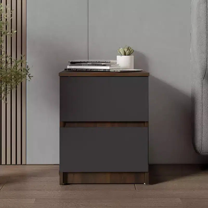Homez 15.74 in. Rectangle Wood End Table with 2 Drawers