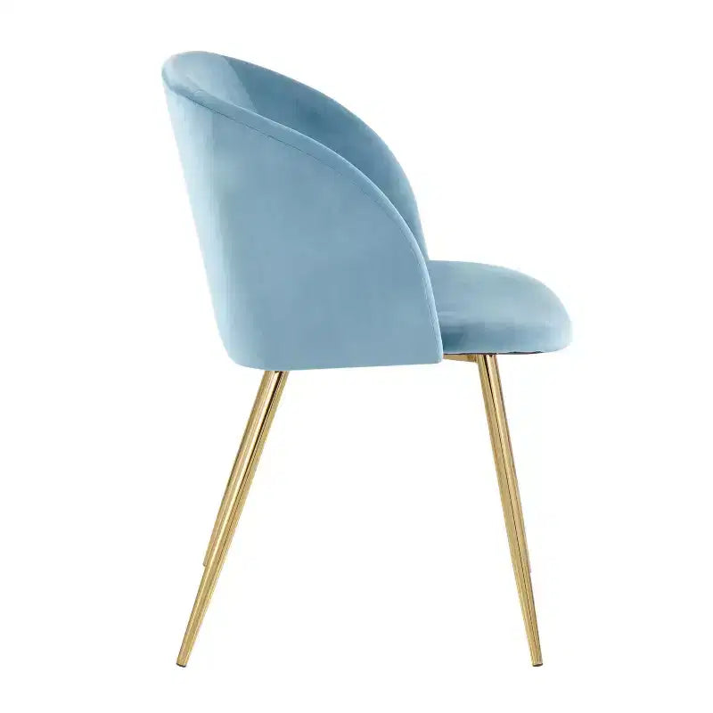 Set of 2 Fran Contemporary Dining Chairs - LumiSource