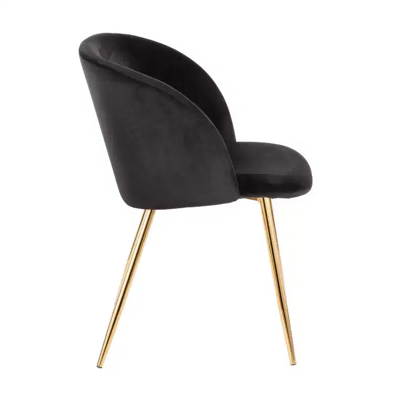 Set of 2 Fran Contemporary Dining Chairs - LumiSource